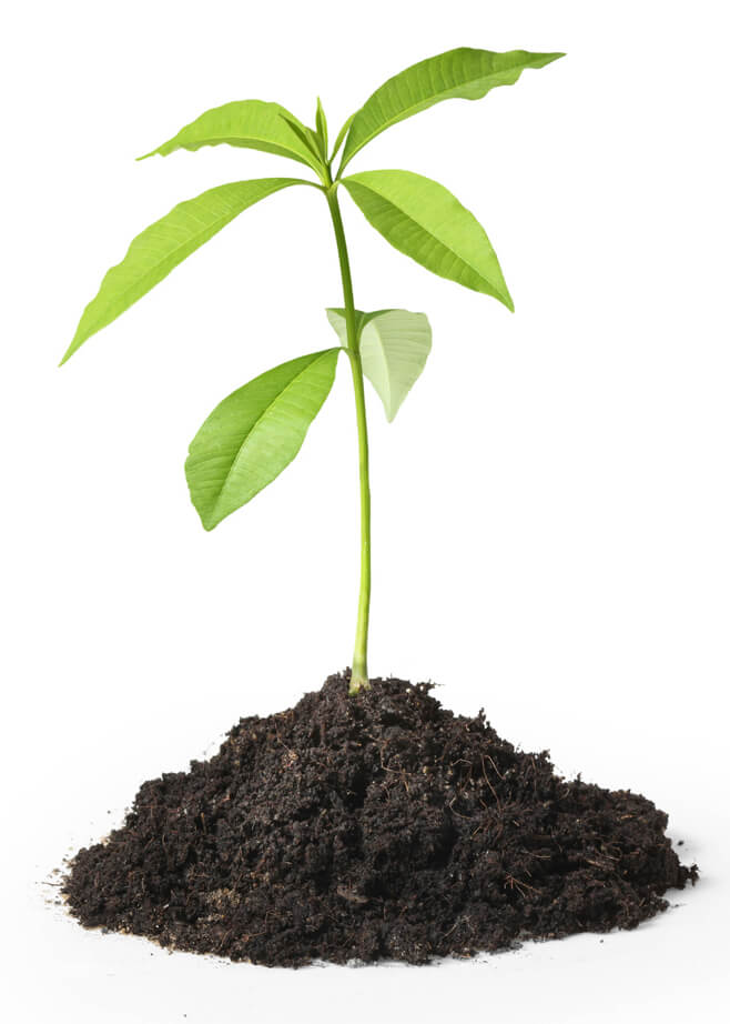 Precision Waste Systems Ltd. Environmental Image